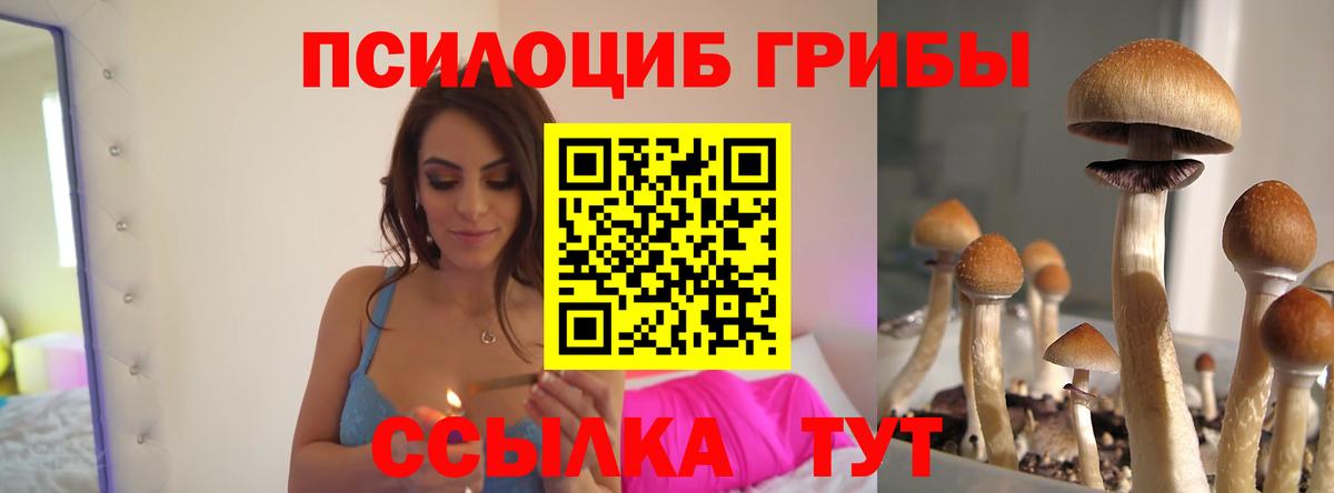 Псилоцибиновые грибы прущие грибы  Вход с VPN  Джанкой 